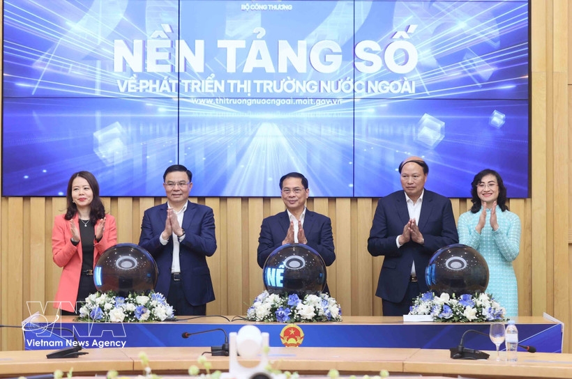 Digital platform on overseas market development launched